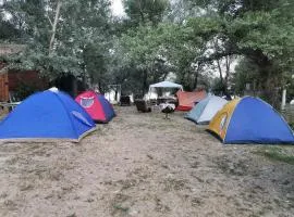 EXIT Camping with bungalow, mobile home, tents, and empty spots with private acces to the beach、ノヴィサドのバンガロー