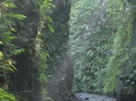 Pramana Giri Kusuma