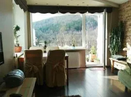 Apartament rodzinny 2 pokojowy. Widok na Snieżke.