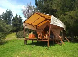 Glamping Verde 360