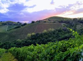 Agricola Lanciani, vidéki vendégház Montefiore dellʼAsóban