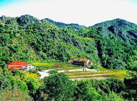 Eco Winery Lipovac Apartments, romantic hotel in Cetinje