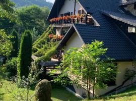 Pensiunea Mugur De Fluier, hotel em Vama