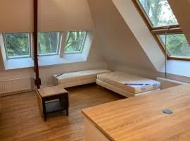 Lumineux appartement au milieu des arbres