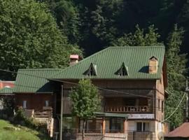 Guesthouse Dolunay, hotell i Ayder Yaylasi