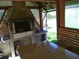 Zelena Sadyba Bila Stavka