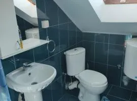 Apartmani Mile