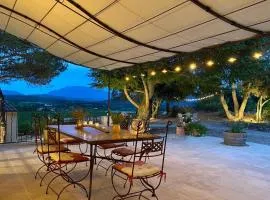 Le clos des pins, vue mont Ventoux