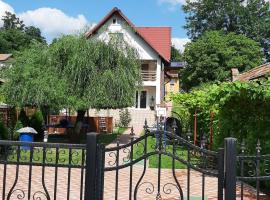 Casa IRIS Slanic, guest house in Slănic