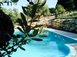 Agriturismo DonnoMarco
