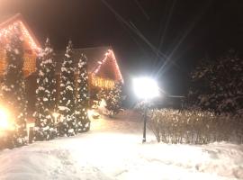 Котедж "Villa Затишна", hotel di Mykulychyn