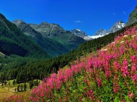 Appartamenti Edelweiss, appartamento a Chaudana