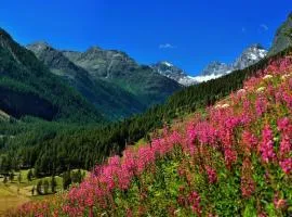 Appartamenti Edelweiss
