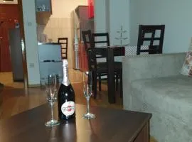 Apartman Basic Doboj