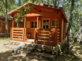 Camping Las Cavenes，El Cabaco的露營地