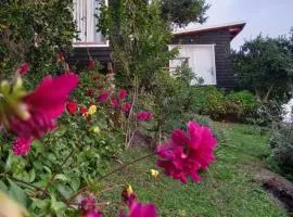 ESTANCIA LOS BOLDOS