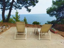 Pefkonas apartments2 100 m from the beach, pet-friendly hotel in Psakoudia
