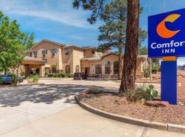 Comfort Inn Payson, hotel u gradu Pejson