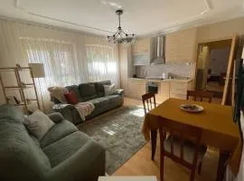 Cozy apartment in the center of Prishtina