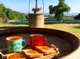 Podere Baratta agriturismo e cantina, agroturismo en Collinello