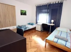 Apartment CVETKO