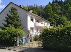 Steinatal, apartment in Bad Sachsa