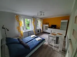 Zielony Apartament, Kielce, Targi, Centrum