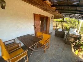 Cosy Calm Cottage in olive trees with sea view