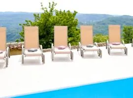 Villa Kristina - Swimming pool, Dolenja Vas - Istra