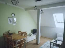 Apartament Kaktus