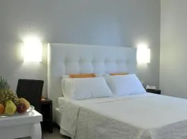 Gemini Suite