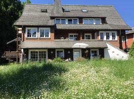 Schwarzwald Landhaus Leonore mit Alpenblick, Erdgeschosswohnung mit großer Gartenterrasse und Parkplatz, hotel near Brenden Ski Lift, Ühlingen-Birkendorf