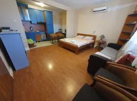 Guesthouse Skadar Lake - Raicevic