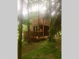 Adorable Cabane dans un espace boisé