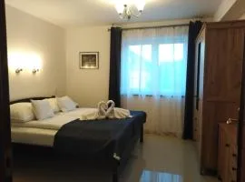 Apartament Willa Jacuu