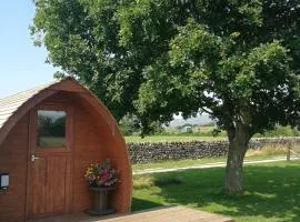 Sunny Mount Glamping Pod