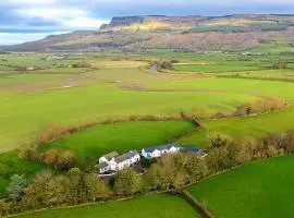 The Willows House & Studios
