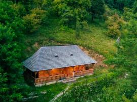 Căsuța Bunicilor, cabin in Vişeu de Jos