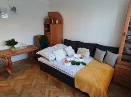 Apartament Park Saski II