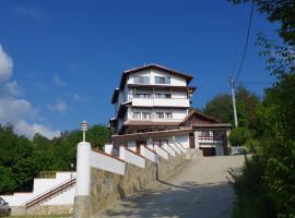 Family Hotel Diana, hotel in Lyaskovo