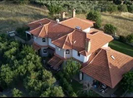 Alice Wonderland Home Nea Flogita Halkidiki