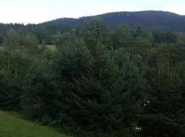 Ubytování na Šumavě