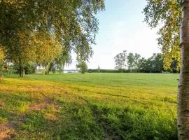 Schilfkante - Am Ufer