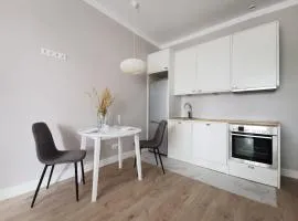Tolstoi Scandinavian 1 bedroom apartment + free parking