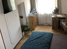 Nico Zen Home