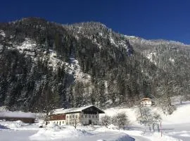 Alpaka-Hof Landinger