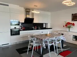 Spacious Luxury 2BR flat with Parking - Luxembourg gare