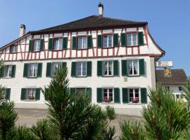 Gasthaus zum Löwen, guest house in Neftenbach