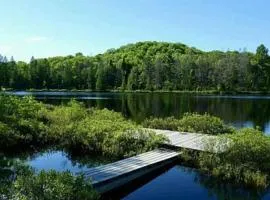 Whole home, private lake, sauna, WFH office