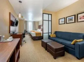 Comfort Suites Near City of Industry - Los Angeles